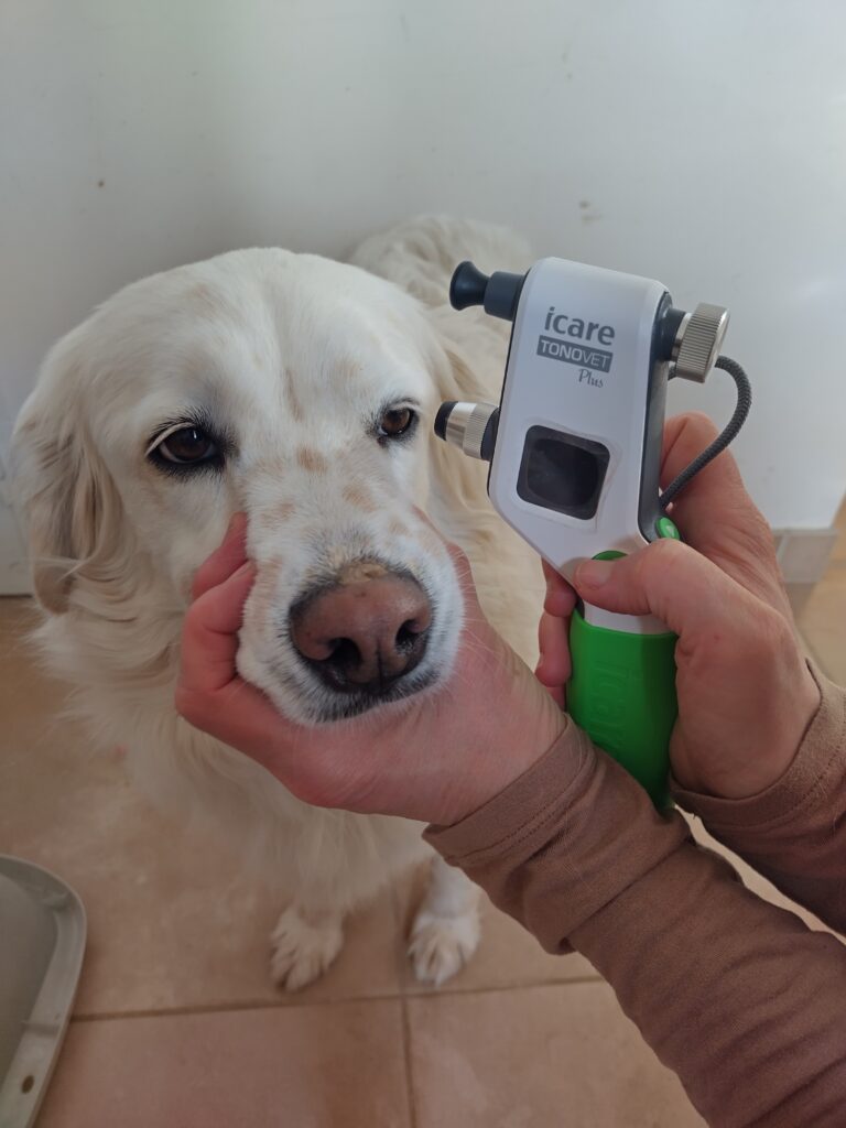 examen au tonomètre